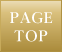 pagetop