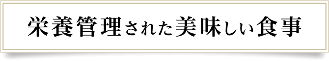 栄養管理された美味しい食事